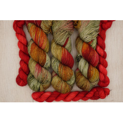(Farbe: Weinrebe) Sockenset...