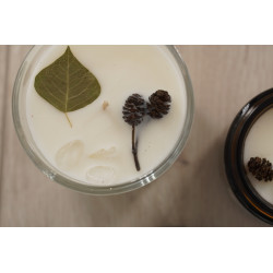 Duftkerze Birkenholz (groß)